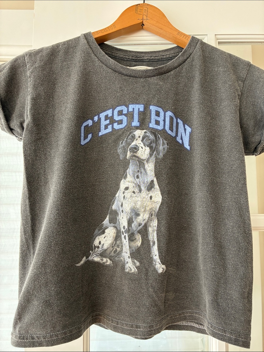 Anthropologie Gray Dalmatian Graphic Dog Tee